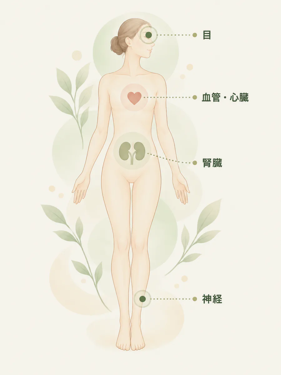 糖尿病で確認する部位（目・血管／心臓・腎臓・神経）を示した図